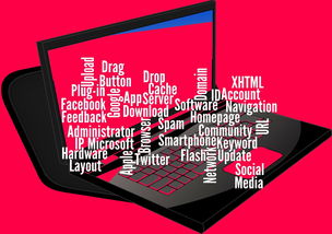 开云体育移动版-CBA开展球员社交媒体管理课程提高职业素养,运动员社交媒体